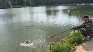 Поимки форели на водоеме