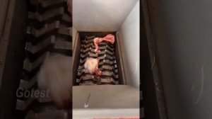 Shredding Compilation | Power of the Shredder, Сила Шредера, Part 9