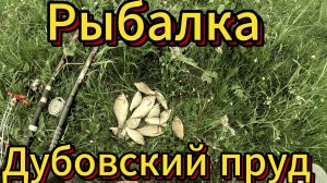 РЫБАЛКА НА ДУБОВСКОМ ПРУДУ