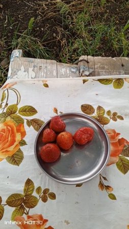 Молчи лучше будет!