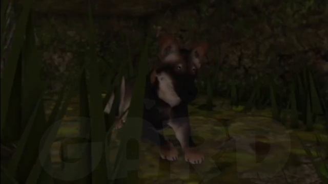 бывает... @роблокс @волки @волк @келл @келенкел @Cenozoic @Surviv смотреть онлайн