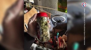 ФСБ задержали севастопольца за распространение наркотиков