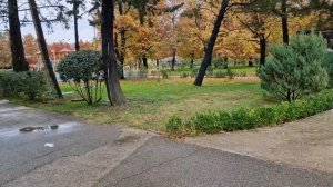 Обзор: санаторий Знание Адлер ноябрь sanatorium Znanie Adler Novembe