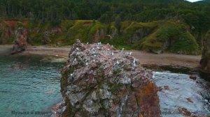 Музыка, которая открывает порталы в другие измерения! - Running -- En attendant Ana -- Songs from th