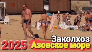 Теперь я могу продавать креветки и кукурузу на Азовском море. 10.06.2024 Заколхоз в Голубицкой