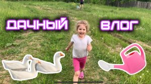 Дача, речка и гуси-охранники! Эмилия в деревне 🐣🌿