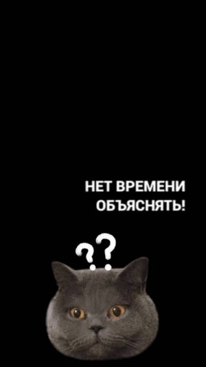 Голосуйте за KRAMP.RU!