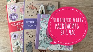 Челлендж Успеть раскрасить за 1 час.