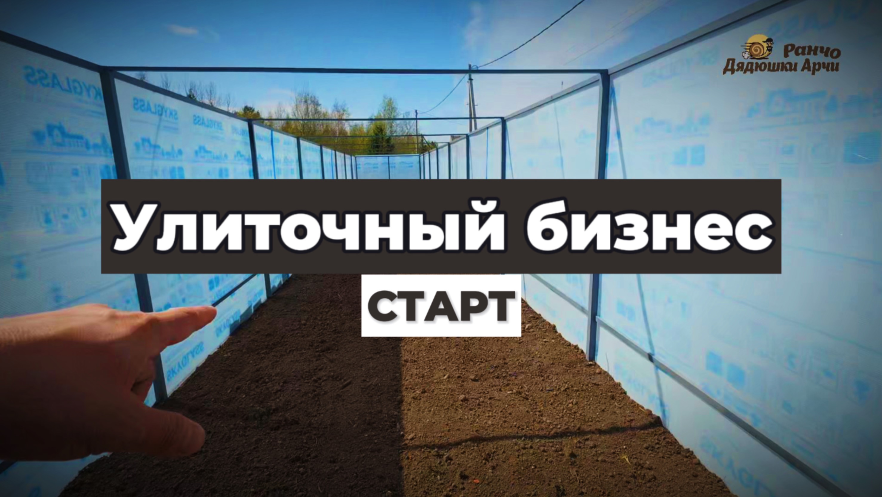 Улиточная ферма с нуля: Бизнес на улитках! 🐌 Старт