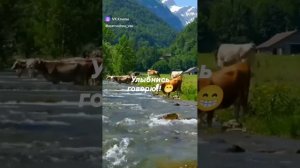 Улыбнись!