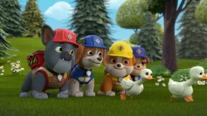 Крепыш и команда | Крепыш спасает утят и роет туннель! С Уилером и Мотором | 30 минут | Nick Jr.