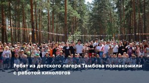 Ребят из детского лагеря Тамбова познакомили с работой кинологов