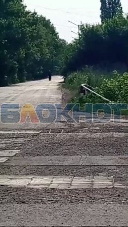 НАПАЛ С НОЖОМ: в селе Хреновое Бобровского района на местного жителя Виталия Архипова напали.