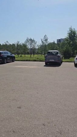 Акция «Найди подарочный сертификат от "Престиж Авто" 🚗🎁