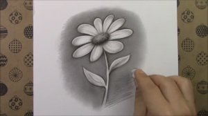 Как нарисовать цветок карандашом