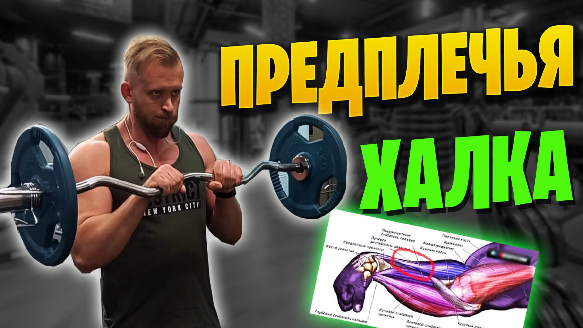 Как Накачать Предплечья? 5 упражнений на предплечья