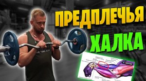 Как Накачать Предплечья? 5 упражнений на предплечья