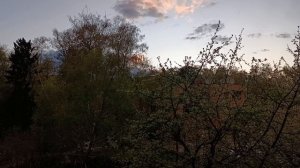 Апрельские виды