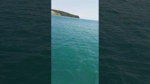Видео N 110