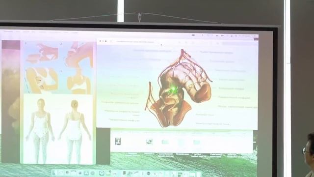 Правда о прямой кишке, которую все игнорируют