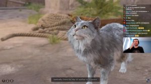 Папич играет в Baldur’s Gate 3! Саревок Анчев 146