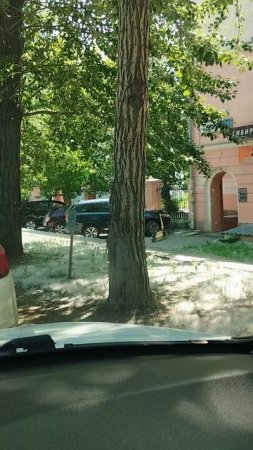 тополиный пух Екатеринбург