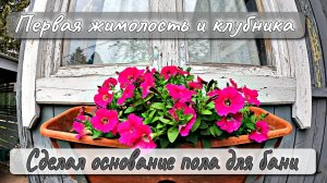 ПЕРВАЯ ЖИМОЛОСТЬ И КЛУБНИКА  СДЕЛАЛ ОСНОВАНИЕ ПОЛА ДЛЯ БАНИ