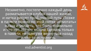 11 июня 2025. Блаженство библейской мудрости. Под сенью благодати _ Адвентисты