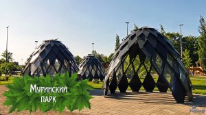 Муринский парк (2025)