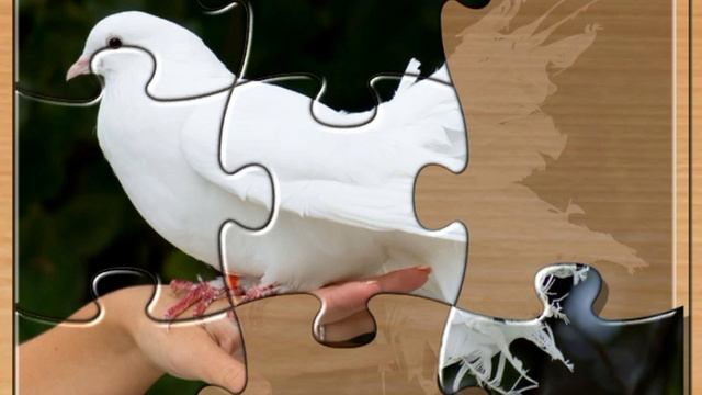 Мультики для детей. Мультфильмы для малышей .