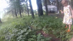 На Sup борде за грибами