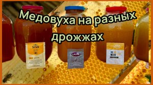 Медовуха на дрожжах Mangrove Jacks M05, Beervingem BVG 08, Lalvin D47.
