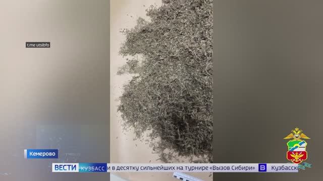 Килограмм марихуаны, учения спасателей и миллионы мошенникам: дайджест новостей в Кузбассе