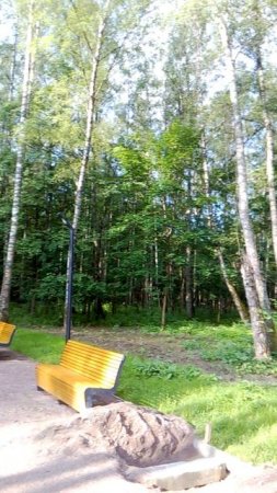 В летнем парке ранним утром!