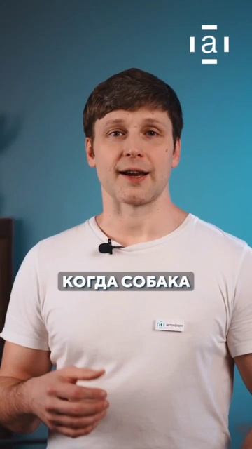 Рассказываем, как приучить питомца стричь когти