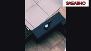 Ржака приколы! Смешные видео приколы!