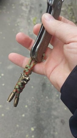 Бодрый Флипп