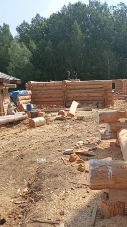 На базе сейчас творится что-то невероятное – мы одновременно работаем над несколькими проектами! 🪵