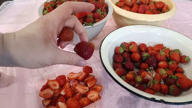 Ремонт дома. Собрали небывалый урожай ягоды. Дела домашние.