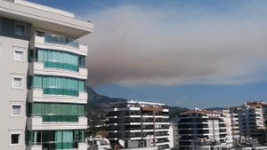 ПОЖАР В ГОРАХ МАХМУТЛАРА. ТУРЦИЯ 2023.