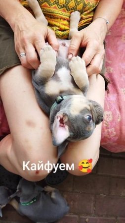 Бумер