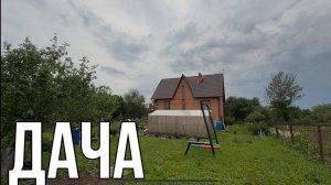 ДАЧА 8 ИЮНЯ 2025