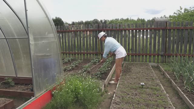 6 соток 7 июня 2025 года. 1 часть
