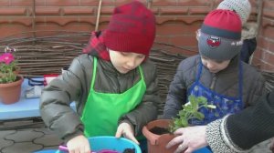 Детский сад // Занятие Знатоки природы и родного края