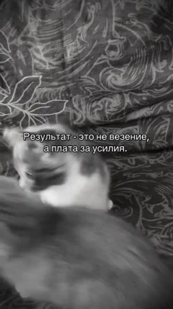 Надо постараться