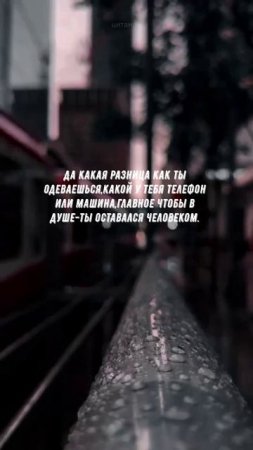 #868 Цитата дня. Мотивация.