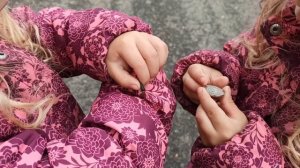 Весёлый жук