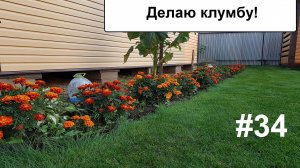 Делаю клумбу.