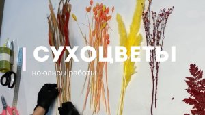 Сухоцветы_ нюансы работы