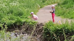 А что там под мостом_ Внучкам понравилось кормить котят. Хорошего вам лета! Муж готовит ужин.